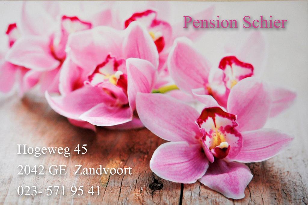 Pension Schier Zandvoort Exterior photo