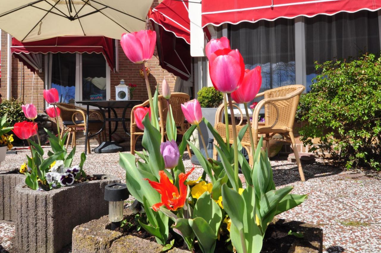 Pension Schier Zandvoort Exterior photo